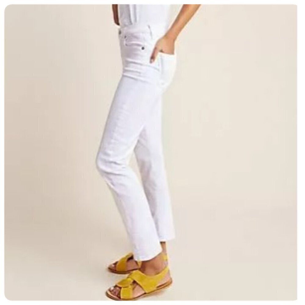 Boyish EMERSON Ankle Slim Jeans Womens Sz 24 in VERTIGO